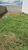 Terreno, 180 m² - Foto 3