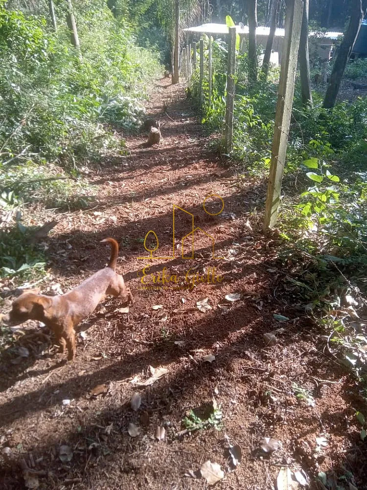 Terreno, 1450 m² - Foto 6