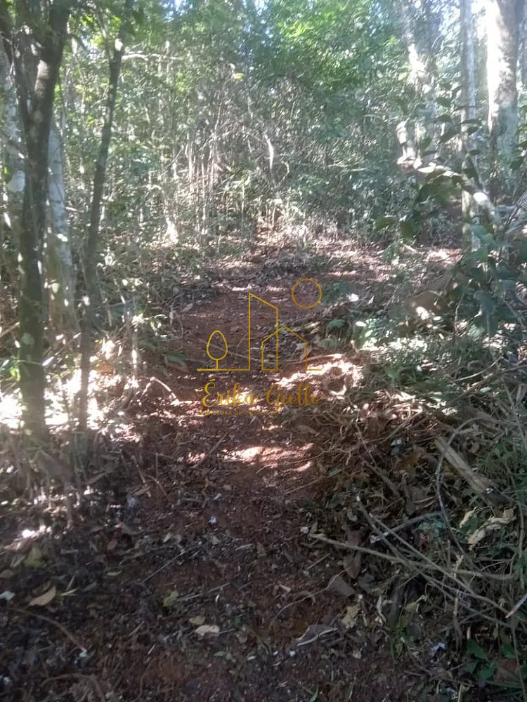 Terreno, 1450 m² - Foto 7