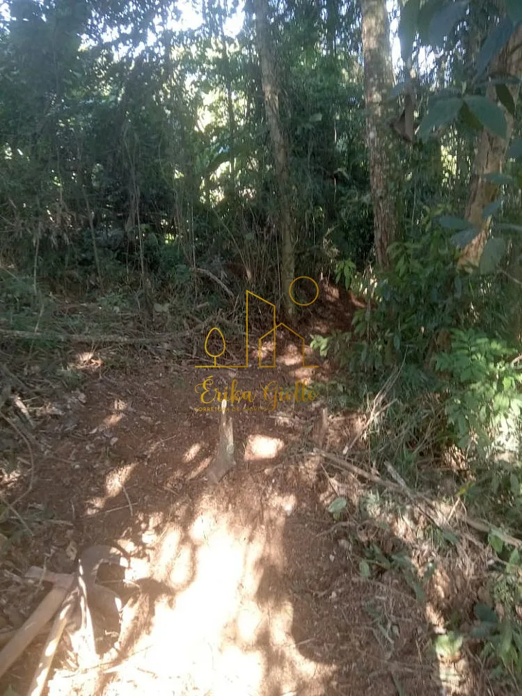 Terreno, 1450 m² - Foto 5