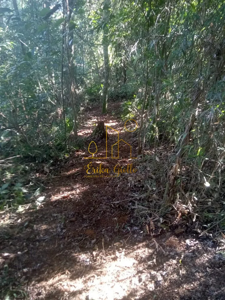 Terreno, 1450 m² - Foto 4