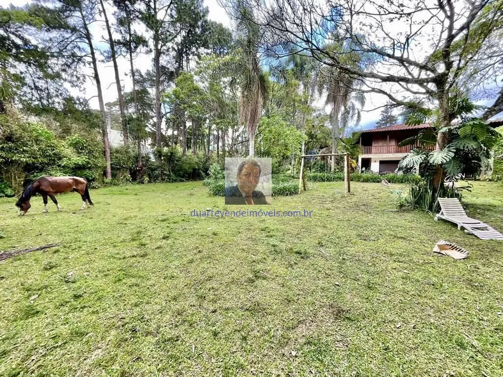 Casa, 5 quartos, 456 m² - Foto 4