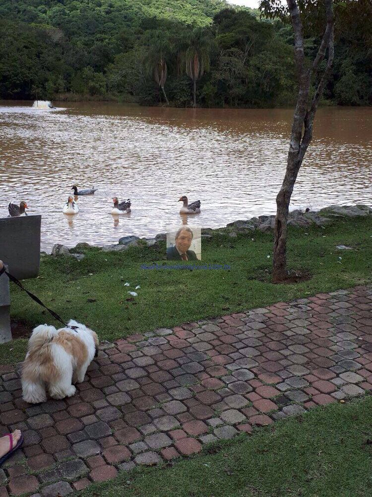 Terreno, 480 m² - Foto 10