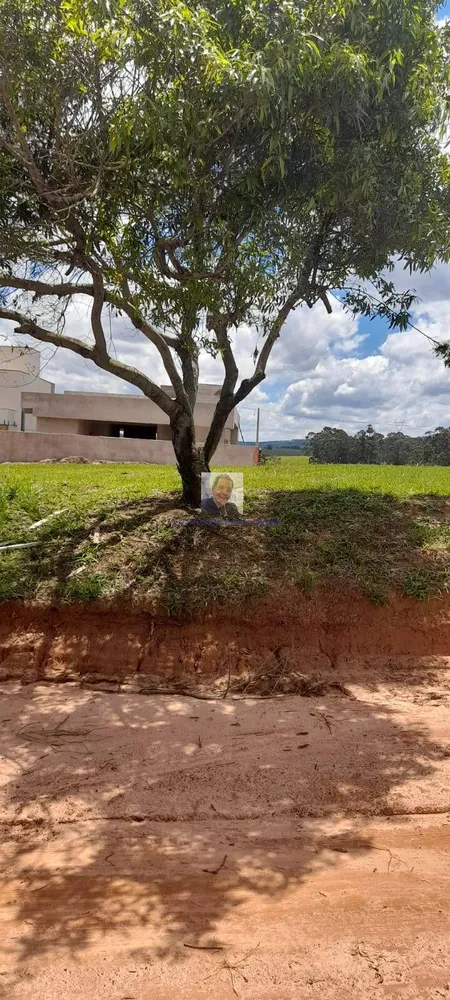 Terreno, 450 m² - Foto 5