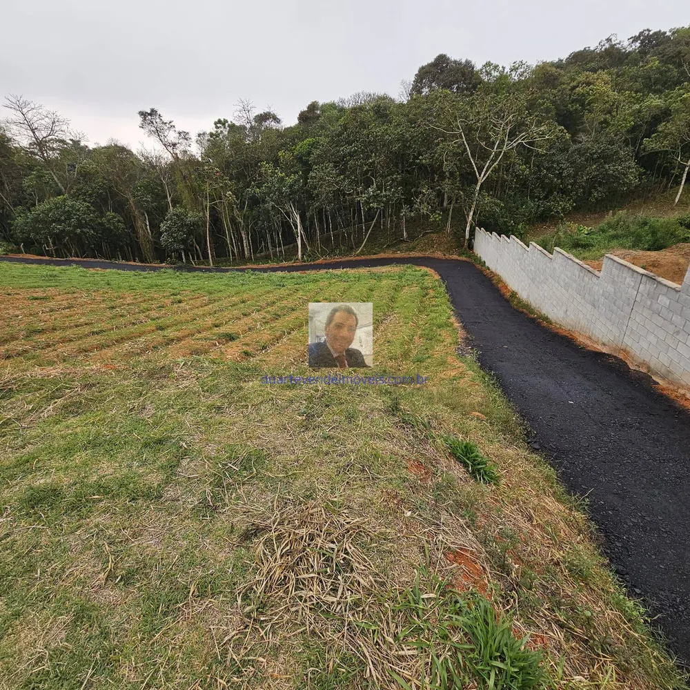 Sítio, 3 quartos, 3 hectares - Foto 10