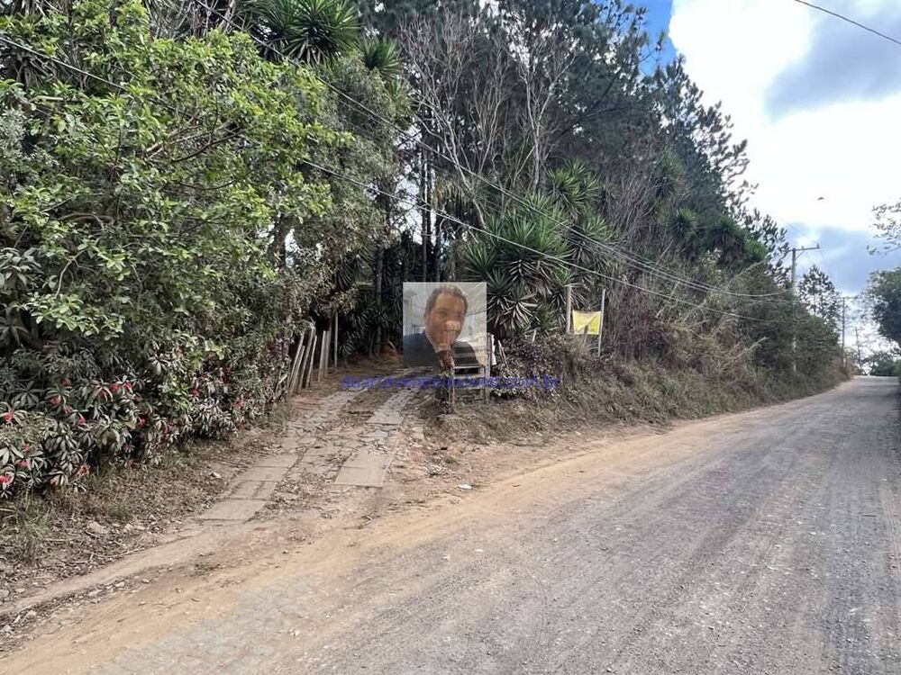 Terreno, 2 hectares - Foto 4
