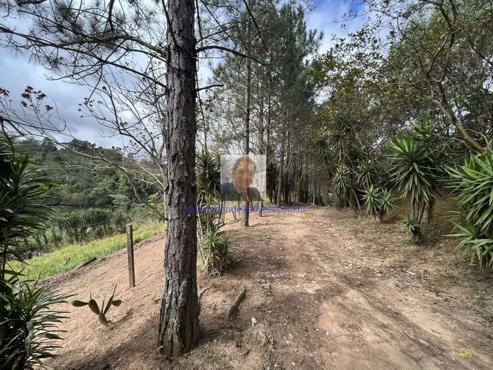 Terreno, 2 hectares - Foto 6
