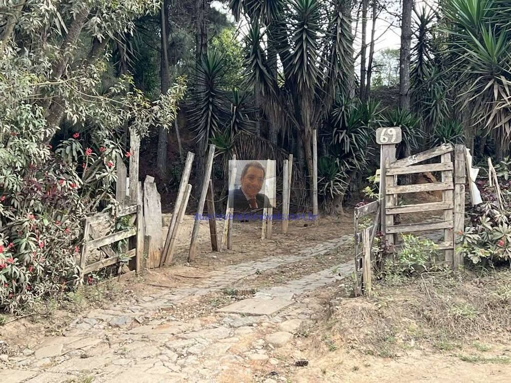 Terreno, 2 hectares - Foto 3