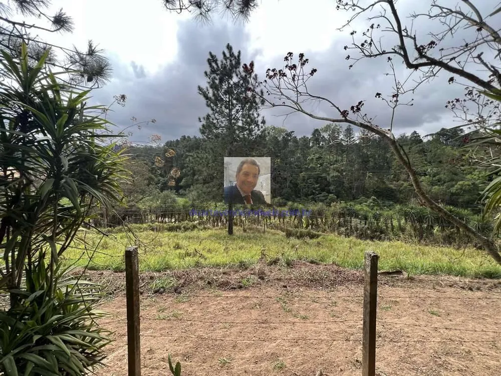 Terreno, 2 hectares - Foto 7