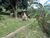Terreno, 1000 m² - Foto 8