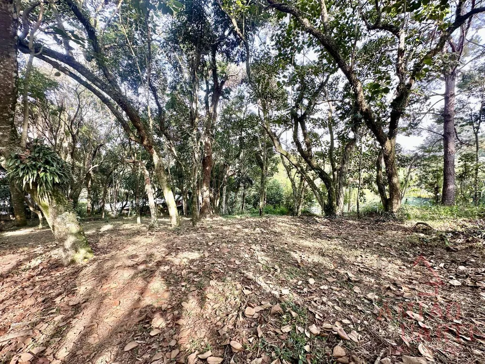 Terreno, 1472 m² - Foto 8