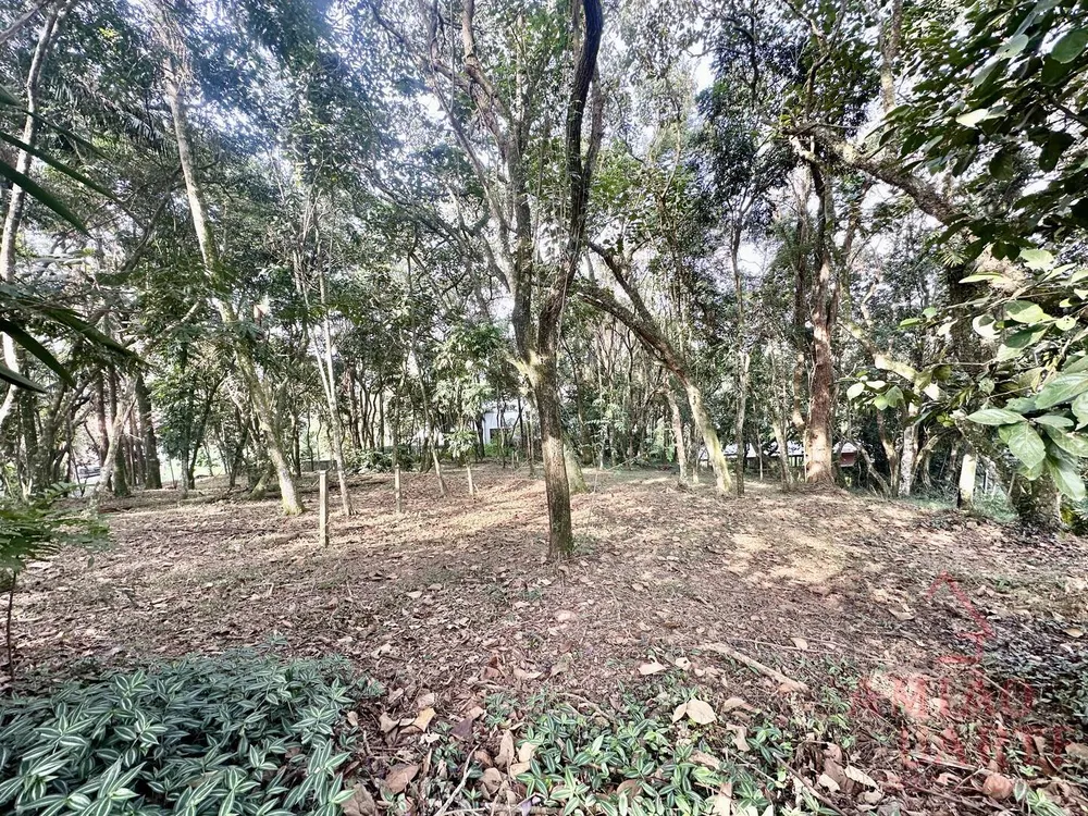 Terreno, 1472 m² - Foto 4
