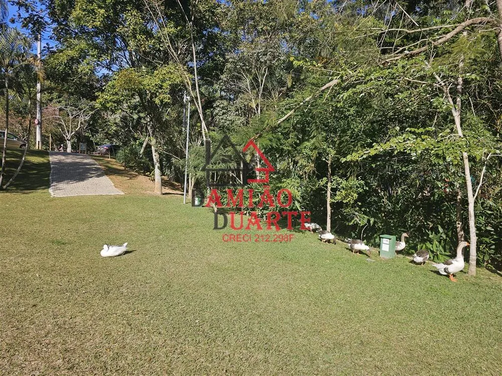 Terreno, 650 m² - Foto 15