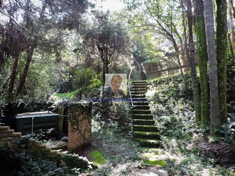 Casa à venda com 3 quartos, 385m² - Foto 8
