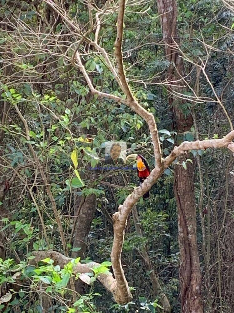 Casa, 3 quartos, 289 m² - Foto 12