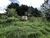 Terreno, 1420 m² - Foto 4