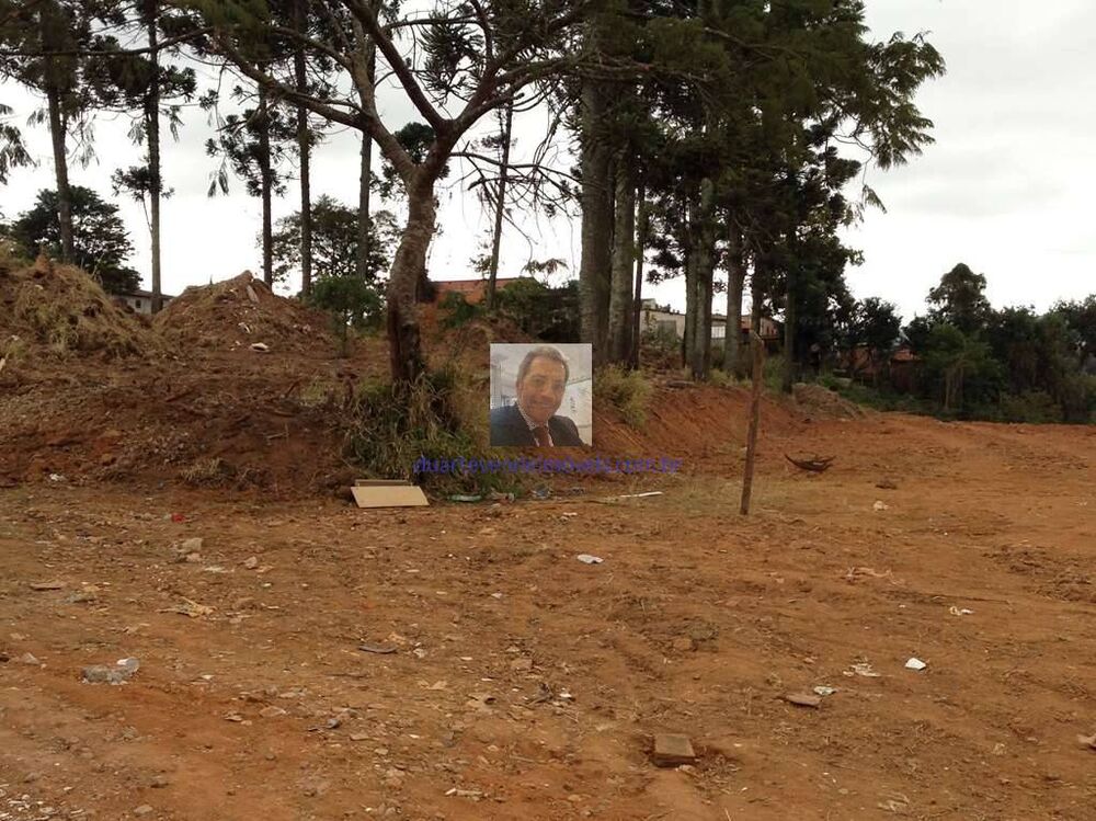 Terreno, 2742 m² - Foto 3