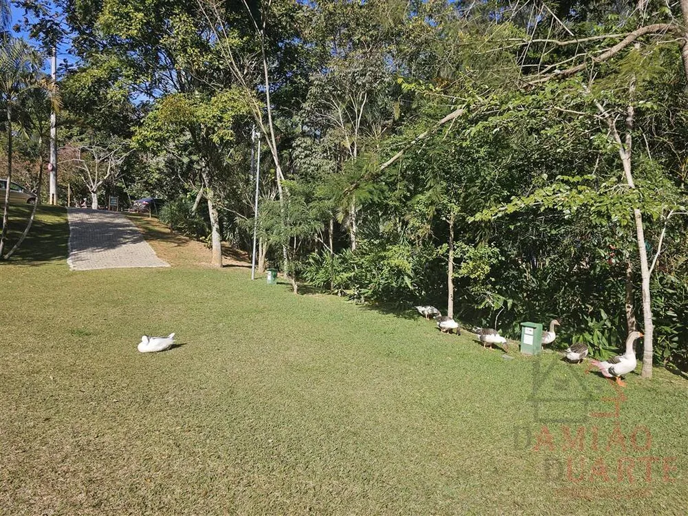 Terreno, 396 m² - Foto 10