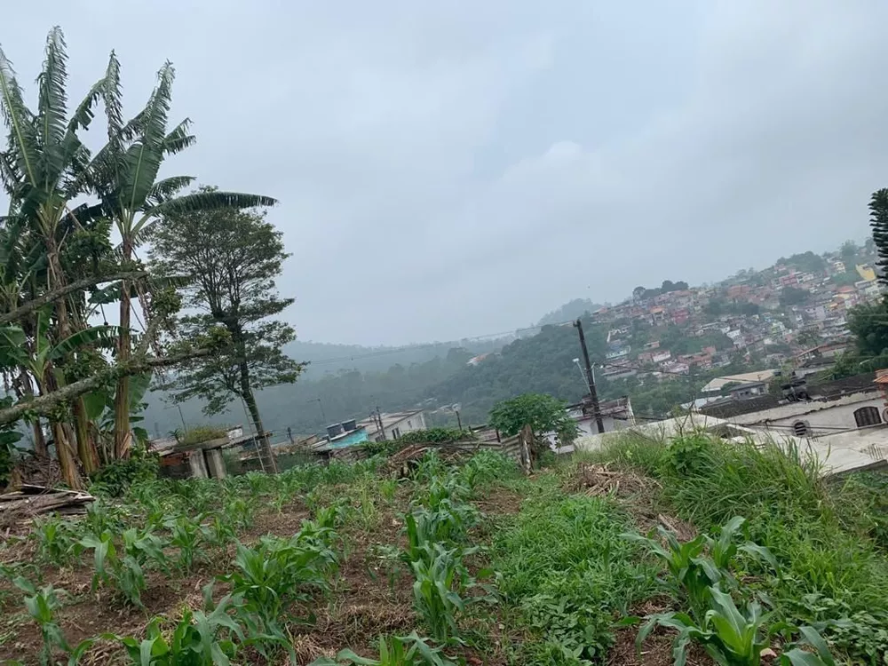 Terreno à venda, 380M2 - Foto 4