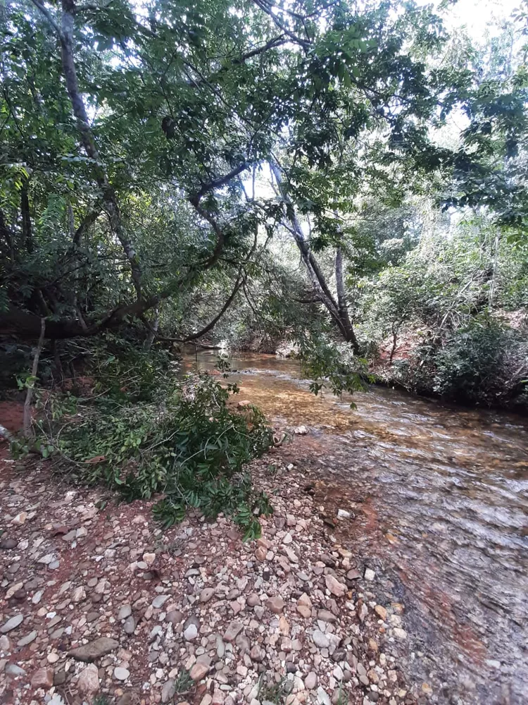 Fazenda à venda - Foto 2