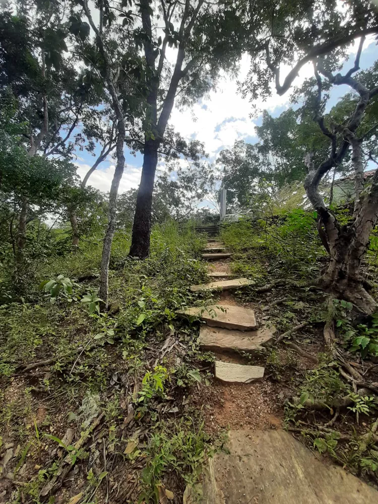 Fazenda à venda - Foto 3