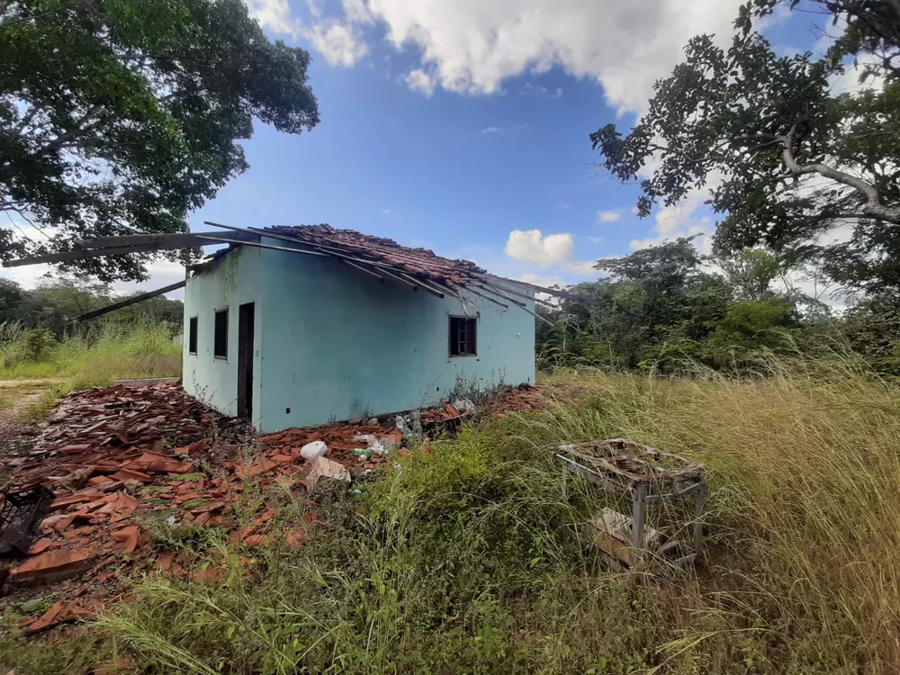 Fazenda à venda - Foto 4