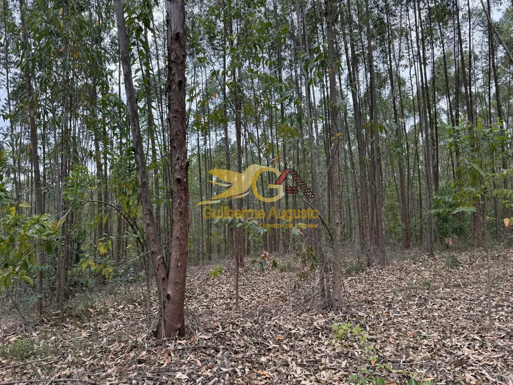 Terreno, 56 m² - Foto 4