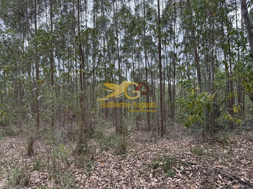 Terreno, 56 m² - Foto 3