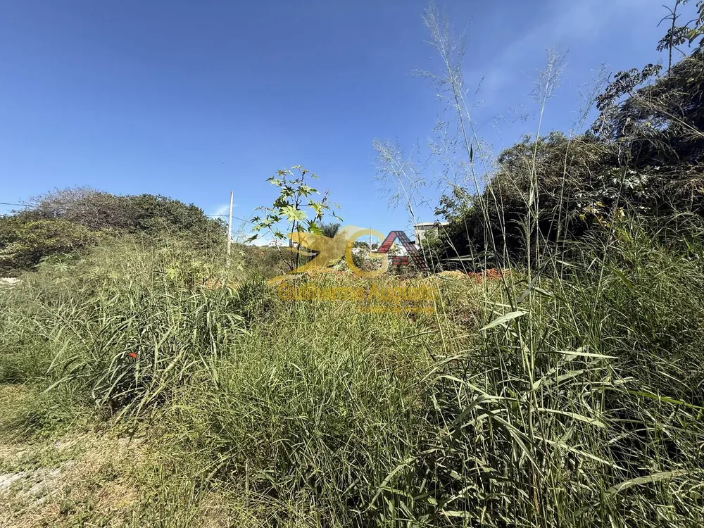 Terreno, 554 m² - Foto 4