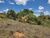 Terreno, 1000 m² - Foto 7