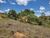 Terreno, 1000 m² - Foto 2