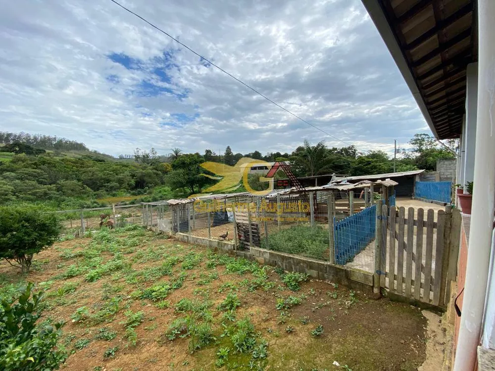 Fazenda à venda com 3 quartos, 2870m² - Foto 16