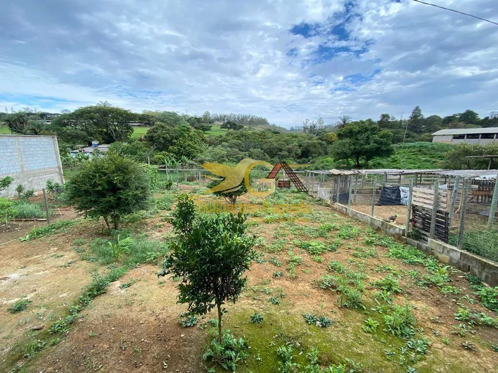 Fazenda à venda com 3 quartos, 2870m² - Foto 17