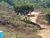 Terreno, 3 hectares - Foto 3