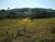 Terreno, 1000 m² - Foto 1