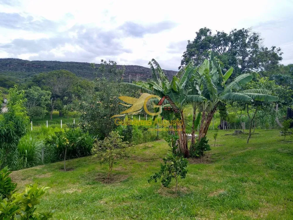 Sítio, 6 quartos, 1 hectares - Foto 4