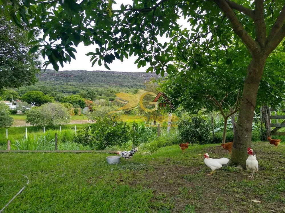Sítio, 6 quartos, 1 hectares - Foto 7