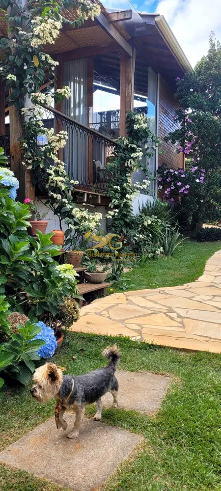 Casa, 4 quartos, 425 m² - Foto 2