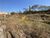 Terreno, 266 m² - Foto 3