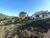 Terreno, 1112 m² - Foto 3