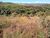Terreno, 500 m² - Foto 1