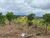 Terreno, 767 m² - Foto 4