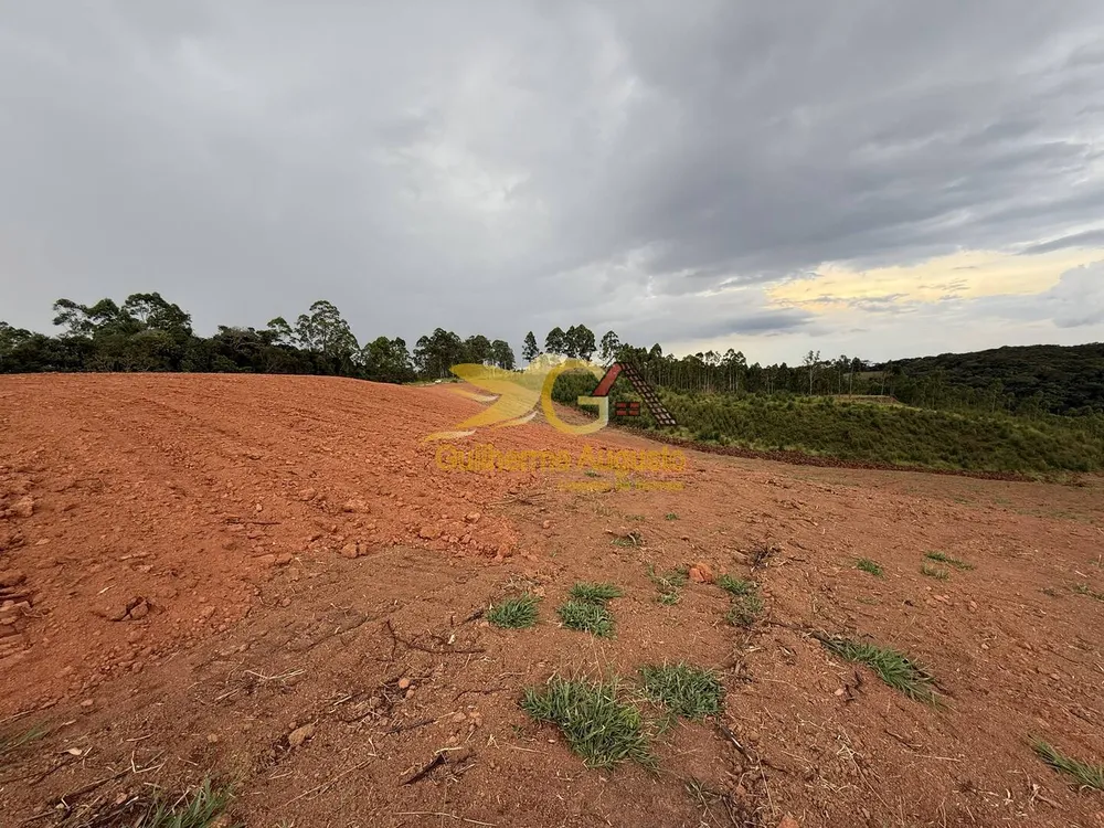 Terreno, 7 hectares - Foto 7
