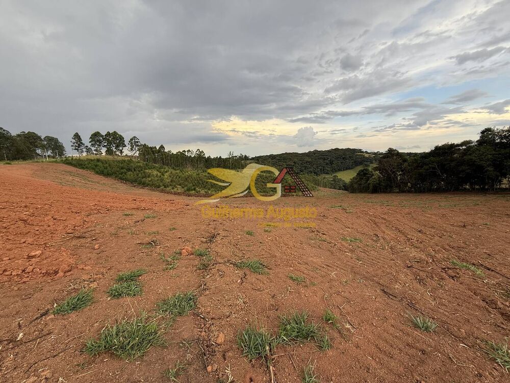 Terreno, 7 hectares - Foto 3