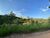 Terreno, 1050 m² - Foto 2