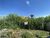 Terreno, 400 m² - Foto 1