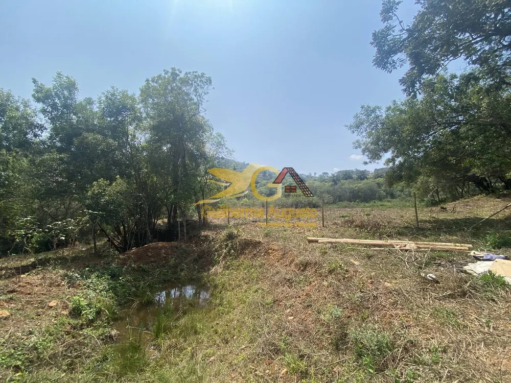 Sítio, 3 quartos, 6 hectares - Foto 10