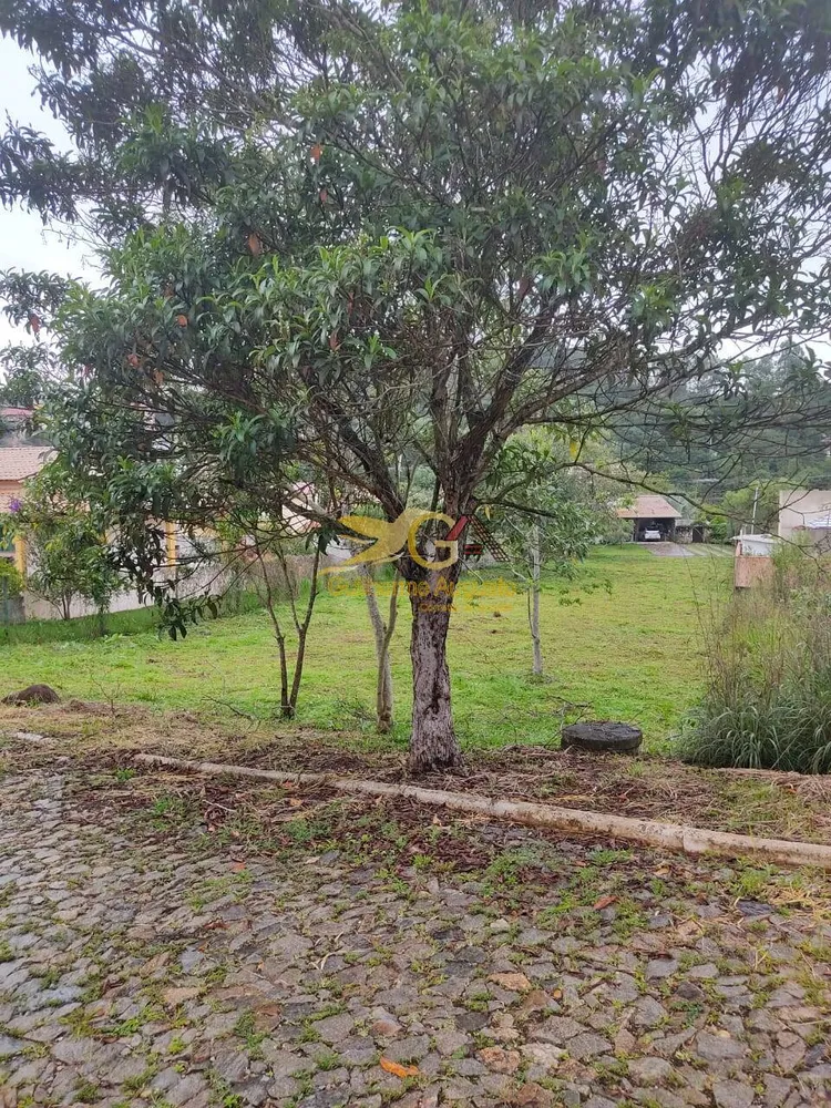 Terreno - Foto 1