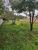 Terreno - Foto 4