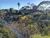 Terreno, 7099 m² - Foto 4